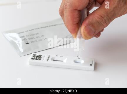 Eine Person, die die Abstrichlösung auf den Testleser legt und einen Covid-19 Rapid Antigen-Selbsttest durchführt. Stockfoto