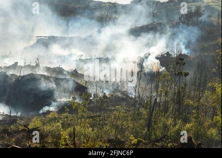 Shiplake, Dunmanway, West Cork, Irland. April 2021. Feuerwehrmannschaften kämpften heute Nachmittag in Shiplake, etwas außerhalb von Dunmanway in West Cork, gegen einen erheblichen Gorse-Brand. Crews aus Dunmanway, Clonakilty und Bantry wurden zusammen mit einem Hubschrauber des irischen Luftkorps zur Bekämpfung des Feuers gerufen. Quelle: AG News/Alamy Live News Stockfoto