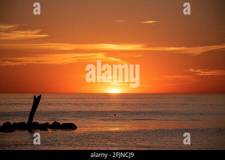 Lake Michigan Treibholz Log in Strandfelsen mit Sonnenuntergang Himmel Stockfoto