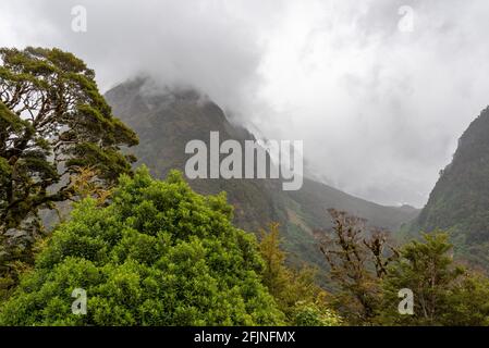Beeindruckender Regenwald und Berge, umgeben von wunderschönen Wolken, Milford Sound Highway, Südinsel Neuseelands Stockfoto