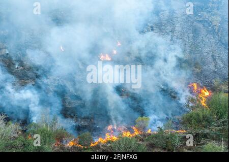 Shiplake, Dunmanway, West Cork, Irland. April 2021. Feuerwehrmannschaften kämpften heute Nachmittag in Shiplake, etwas außerhalb von Dunmanway in West Cork, gegen einen erheblichen Gorse-Brand. Crews aus Dunmanway, Clonakilty und Bantry wurden zusammen mit einem Hubschrauber des irischen Luftkorps zur Bekämpfung des Feuers gerufen. Quelle: AG News/Alamy Live News Stockfoto