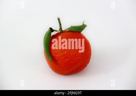 Mandarine mit Blättern Nahaufnahme isoliert auf weißem Hintergrund Stockfoto