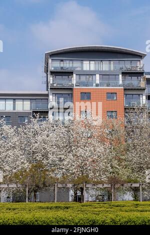 Coronation Gardens by Lyttelton Road, E10, London, Großbritannien Stockfoto