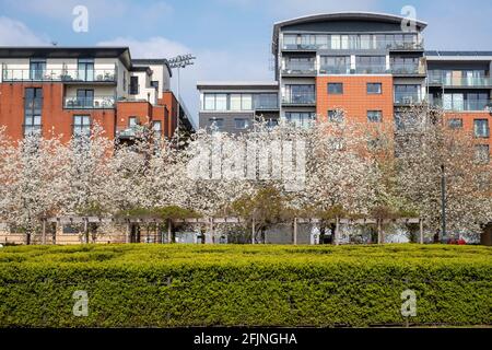 Coronation Gardens by Lyttelton Road, E10, London, Großbritannien Stockfoto