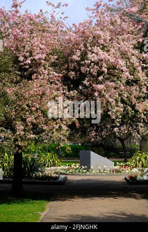 Coronation Gardens by Lyttelton Road, E10, London, Großbritannien Stockfoto