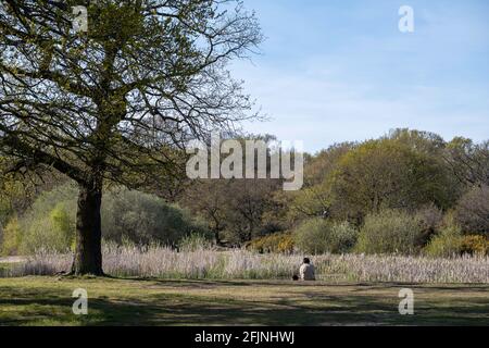 Hollow Ponds, Laytonstone, London, Vereinigtes Königreich Stockfoto