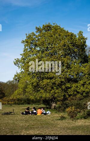 Hollow Ponds, Laytonstone, London, Vereinigtes Königreich Stockfoto