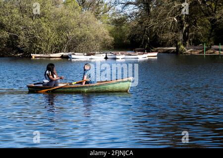 Hollow Ponds, Laytonstone, London, Vereinigtes Königreich Stockfoto