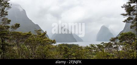 Herrlicher Panoramablick auf Milford Sound bei regnerischem Wetter, Südinsel von Neuseeland Stockfoto