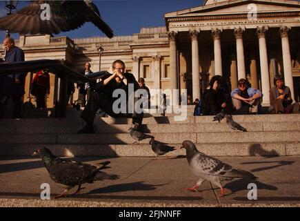 TRAFALGAR SQ TAUBEN, 14/11/03 PILSTON Stockfoto