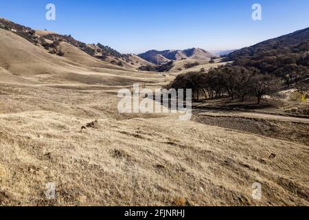 Getrocknete Gräser des Spätherbst bedecken das Tal von Black Diamond Mines Regional Preserve in der Nähe der Gemeinde Stewartville in Eastern Contra Costa County Stockfoto