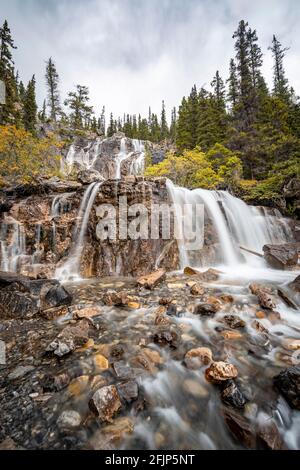 Wasserfall Tangle Creek Falls, im Herbst, Jasper National Park, Alberta, Kanada Stockfoto