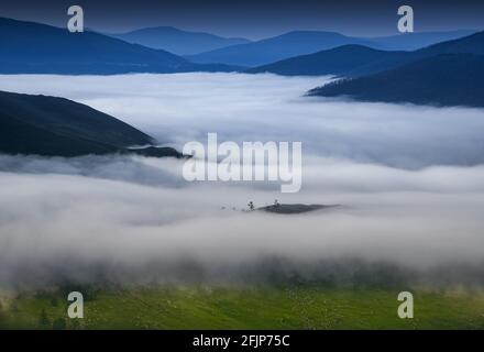 Morgennebel am Flussufer von Orkhon, Provinz Arkhangai, Mongolei Stockfoto