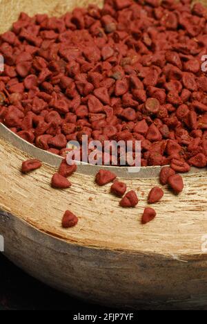 Achiote (Bixa orellana) Samen, orleans Busch, Rucus Busch, Anatto, Anatto Samen (Bixaceae) Stockfoto