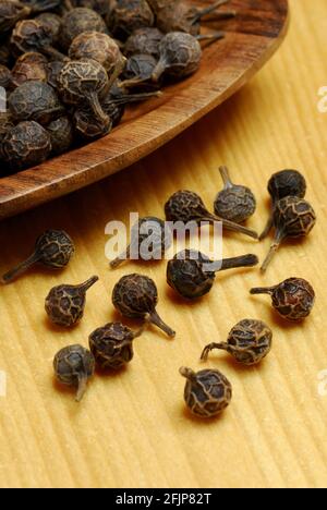 Cubeb-Pfeffer (Piper Cubeba), Cubeb-Pfeffer, Cubeb-Pfeffer Stockfoto