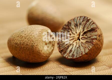 Betelmutter (Areca catechu) , Betelmutter, arecanut Stockfoto