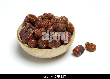 Jujube, Sternum-Baum, Sternum-Beere, Jujube (Ziziphus jujuba) Stockfoto