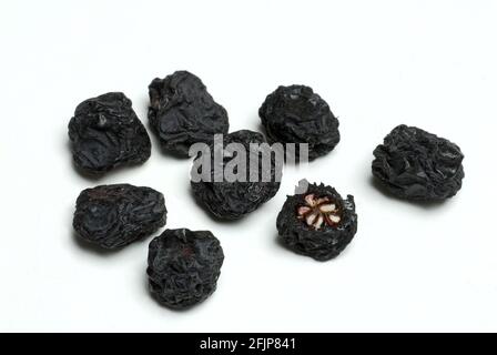 Apfelbeeren (Aronia melanocarpa), getrocknet, schwarze Eberesche Stockfoto