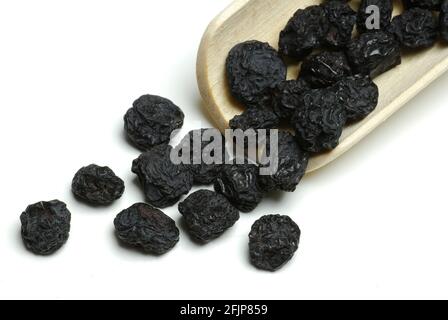 Apfelbeeren (Aronia melanocarpa), getrocknet, schwarze Eberesche Stockfoto