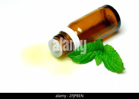 Pfefferminzöl (Mentha peperita) , Pfefferminzöl, Aromatherapie, ätherisches Öl Stockfoto