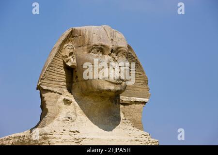 Große Sphinx, Gizeh, Gizeh, Ägypten Stockfoto