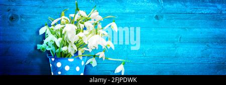 Buntes Schneeglößchen-Bouquet in einer Gießkannen. Konzept von Frühling und Gartenarbeit. Stockfoto