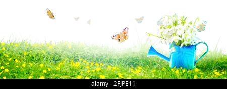 Buntes Schneeglößchen-Bouquet in einer Gießkannen. Konzept von Frühling und Gartenarbeit. Stockfoto