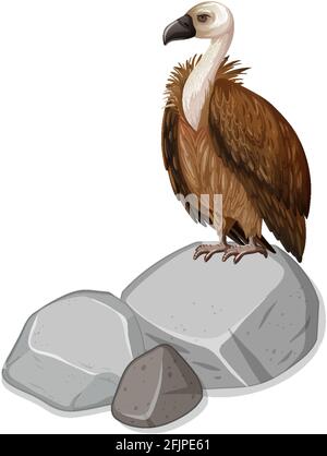 Geier steht auf Stein auf weißem Hintergrund Illustration Stock Vektor