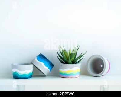Bunte DIY runden Betontopf mit schönen grünen Sukulenten Pflanze auf einem weißen Holzregal auf weißem Wandhintergrund mit Kopierraum. Vier einzigartige Pai Stockfoto
