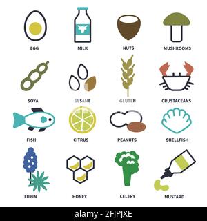Große Auswahl an Symbolen mit den wichtigsten Allergenen in Lebensmitteln Stock Vektor