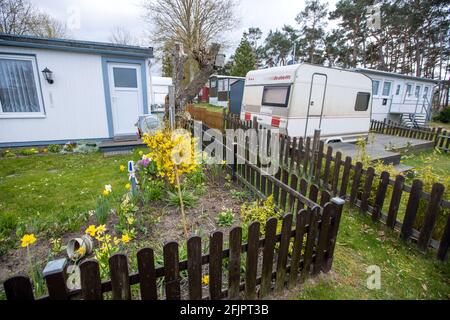 Pepelow, Deutschland. April 2021. Wohnwagen und Zelte von Dauercamper stehen auf dem Gelände des Ostseecamp 'am Salzhaff'. Aufgrund der Corona-Schutzmaßnahmen sind die Campingplätze in Mecklenburg-Vorpommern derzeit geschlossen, auch Dauercamper dürfen nicht in ihren Wohnwagen oder Zelten übernachten. Quelle: Jens Büttner/dpa-Zentralbild/dpa/Alamy Live News Stockfoto