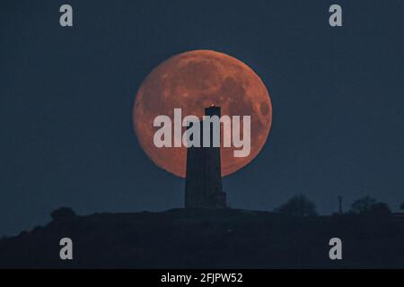 Aprils Pink Moon übergeht den Victoria Tower, Castle Hill, Huddersfield, West Yorkshire, Großbritannien Stockfoto