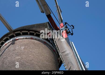 Detail der rotierenden Klingen der Maismühle 'De Leeuw' (der Löwe) im Dorf Bathmen in Overijssel in den Niederlanden im Frühjahr. Blauer Himmel, Sonne Stockfoto