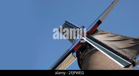 Detail der rotierenden Klingen der Maismühle 'De Leeuw' (der Löwe) im Dorf Bathmen in Overijssel in den Niederlanden im Frühjahr. Blauer Himmel, Sonne Stockfoto