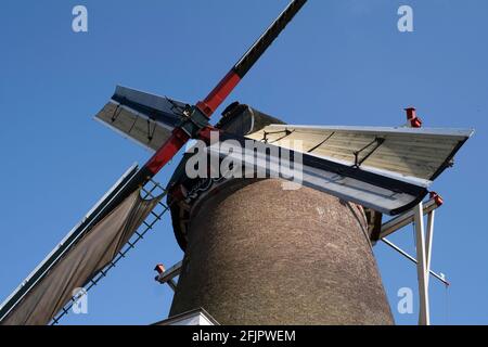 Detail der rotierenden Klingen der Maismühle 'De Leeuw' (der Löwe) im Dorf Bathmen in Overijssel in den Niederlanden im Frühjahr. Blauer Himmel, Sonne Stockfoto