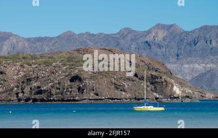 Bahia Concepcion Umgeben von Wüste und Bergen auf der baja-Halbinsel Baja California Sur. MEXIKO Stockfoto