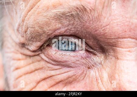 Nahaufnahme der Makroansicht auf dem blauen Auge eines lächelnden älteren Mannes. Stockfoto