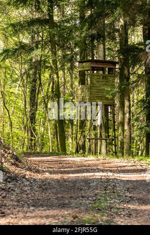 Hölzerner Huntsman-Hochsitz am Waldrand Mit grünem Hintergrund Stockfoto