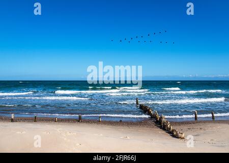 Groynes an der Ostseeküste in Kühlungsborn, Deutschland. Stockfoto