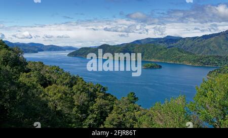 Queen Charlotte Sound / Tōtaranui bei Picton / Waitohi, in den Marlborough Sounds, Neuseeland. Stockfoto