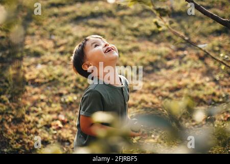 Ein kleiner kaukasischer Junge schaut lächelnd auf den Baum Einen Apfel halten Stockfoto