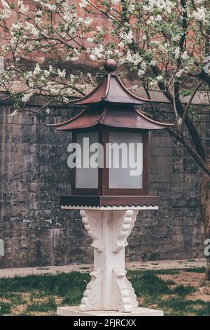 Lampe mit roter Wand und Frühlingsblumen in der Verbotenen Stadt, Peking, China Stockfoto