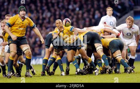 ENGLAND GEGEN AUSTRALIEN IN TWICKENHAM 27/11/2004 BILD DAVID ASHDOWNRUGBY ENGLAND Stockfoto