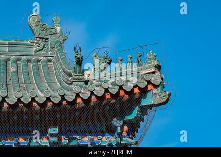 Nahaufnahme des grün glasierten Ziegeldachs mit chinesischer kultureller Drachentrachenskulptur im Himmelstempel, Peking, China Stockfoto