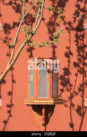 Lampe mit roter Wand und Frühlingsblumen in der Verbotenen Stadt, Peking, China Stockfoto