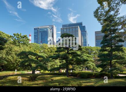 Die malerischen kultivierten Pinien im Garten von Tokio Imperial Palace mit den Wolkenkratzern von Marunouchi Handels-und Finanz Distrikt ein Stockfoto