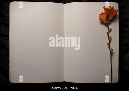 Offenes Buch mit orangefarbener Freesia-Blume, die auf einer leeren Seite vor schwarzem Hintergrund ruht. Leerer Raum für Text. Konzept von Nostalgie, Traurigkeit Stockfoto