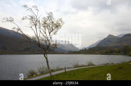 Llyn Padern, See, Blick Richtung Llanberis Pass, Snowdon auf der rechten Seite. Stockfoto