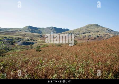 Dow Crag und der alte Mann von Coniston aus gesehen In der Nähe des Torver Beck Coniston Lake District Cumbria England Stockfoto