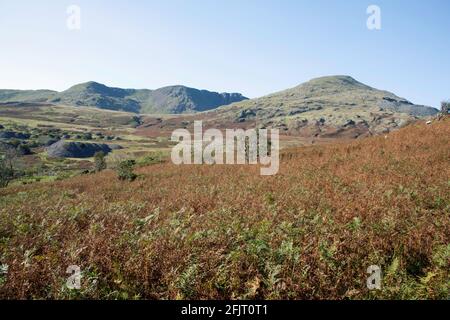 Dow Crag und der alte Mann von Coniston aus gesehen In der Nähe des Torver Beck Coniston Lake District Cumbria England Stockfoto